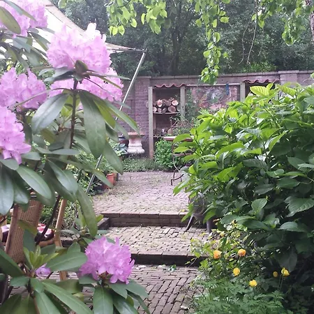Nk123 Oda ve Kahvaltı Amsterdam